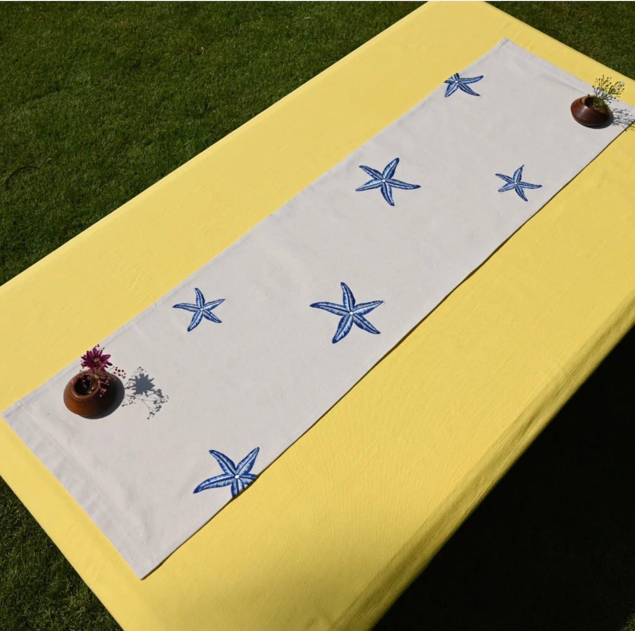 Starfish Runner